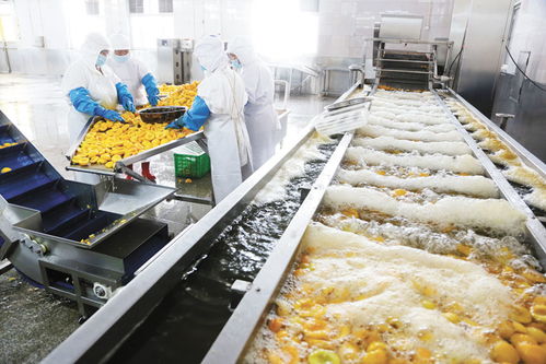 連云港出臺23條措施護航外貿穩增長，汽車配件產業迎來新機遇