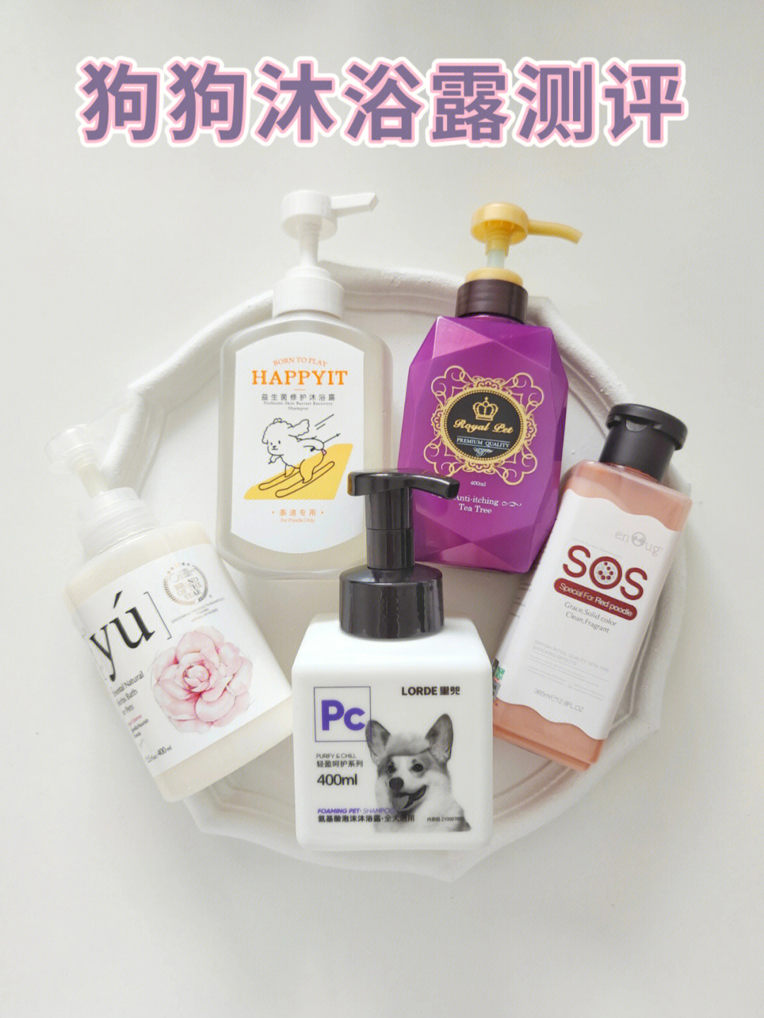 狗狗沐浴露用品測(cè)評(píng)與選擇指南 計(jì)算機(jī)信息技術(shù)視角下的科學(xué)推薦